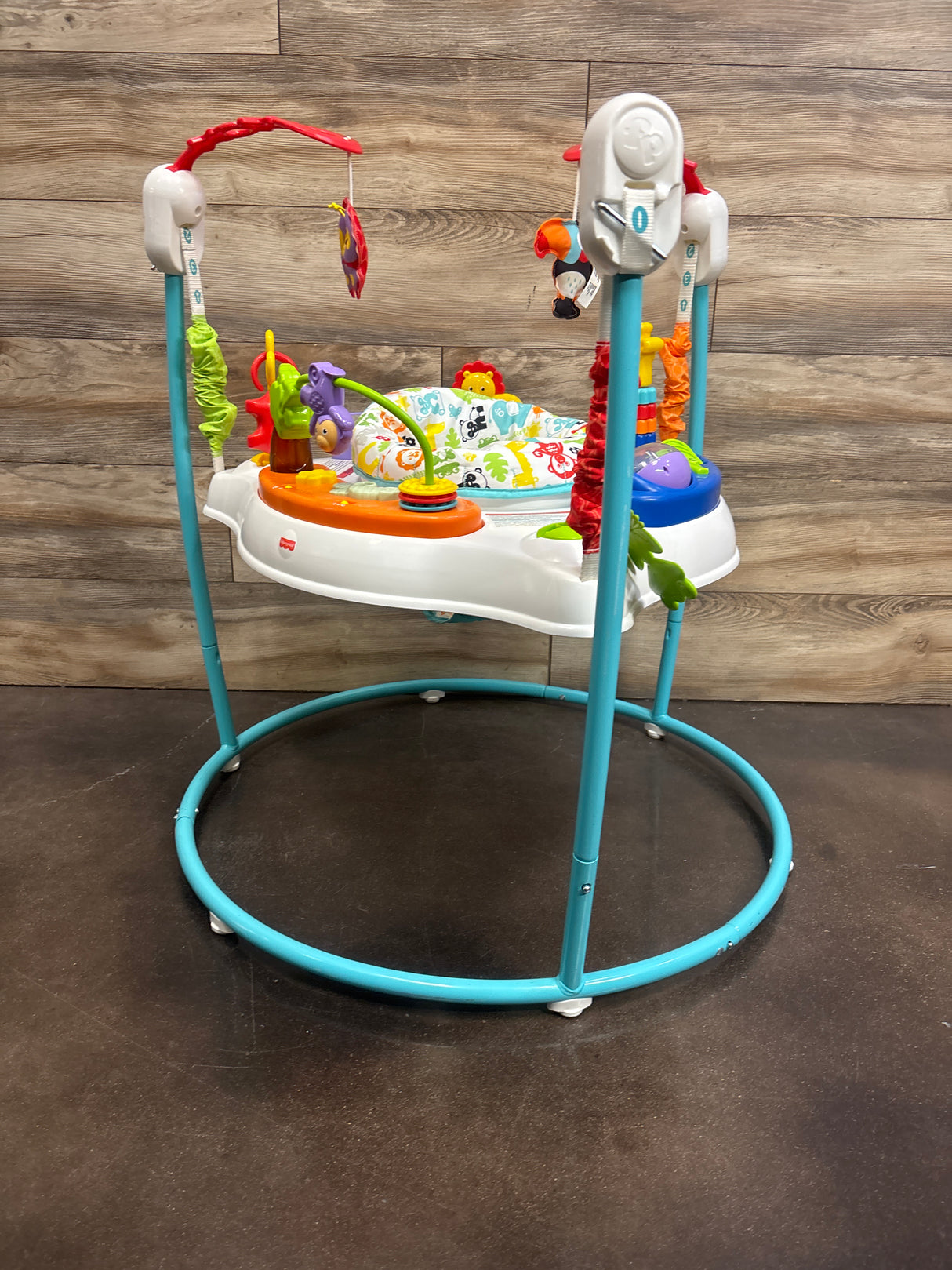 Fisher Price Animal Activity Jumperoo