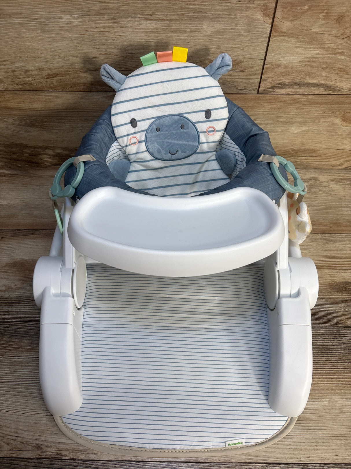 Ingenuity Prop Spot Learn-to-Sit Floor Seat in Casi the Zebra