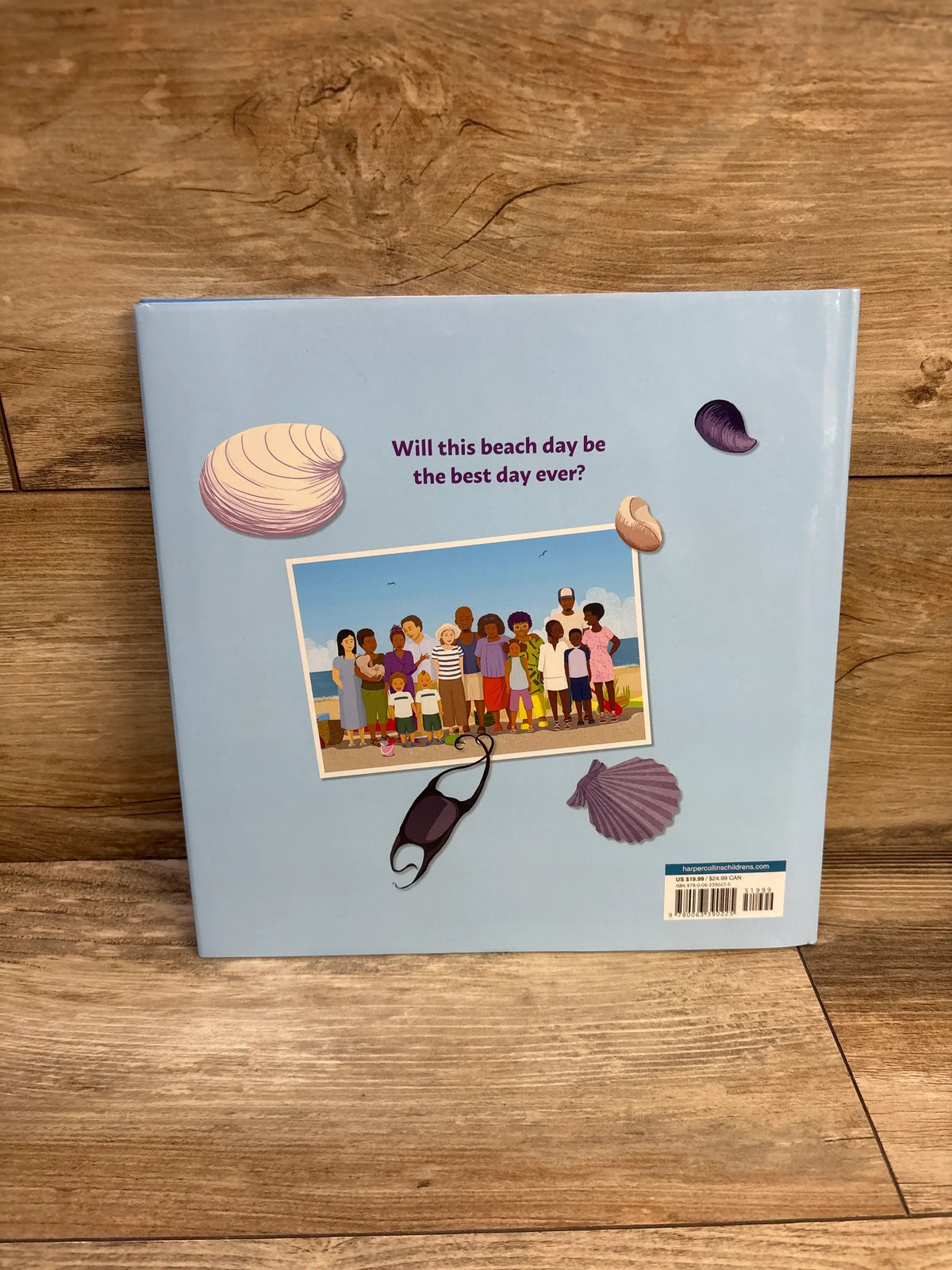 Back cover of Big Family Beach Day hardcover showing family photo and headline ‘Will this beach day be the best day ever?’
