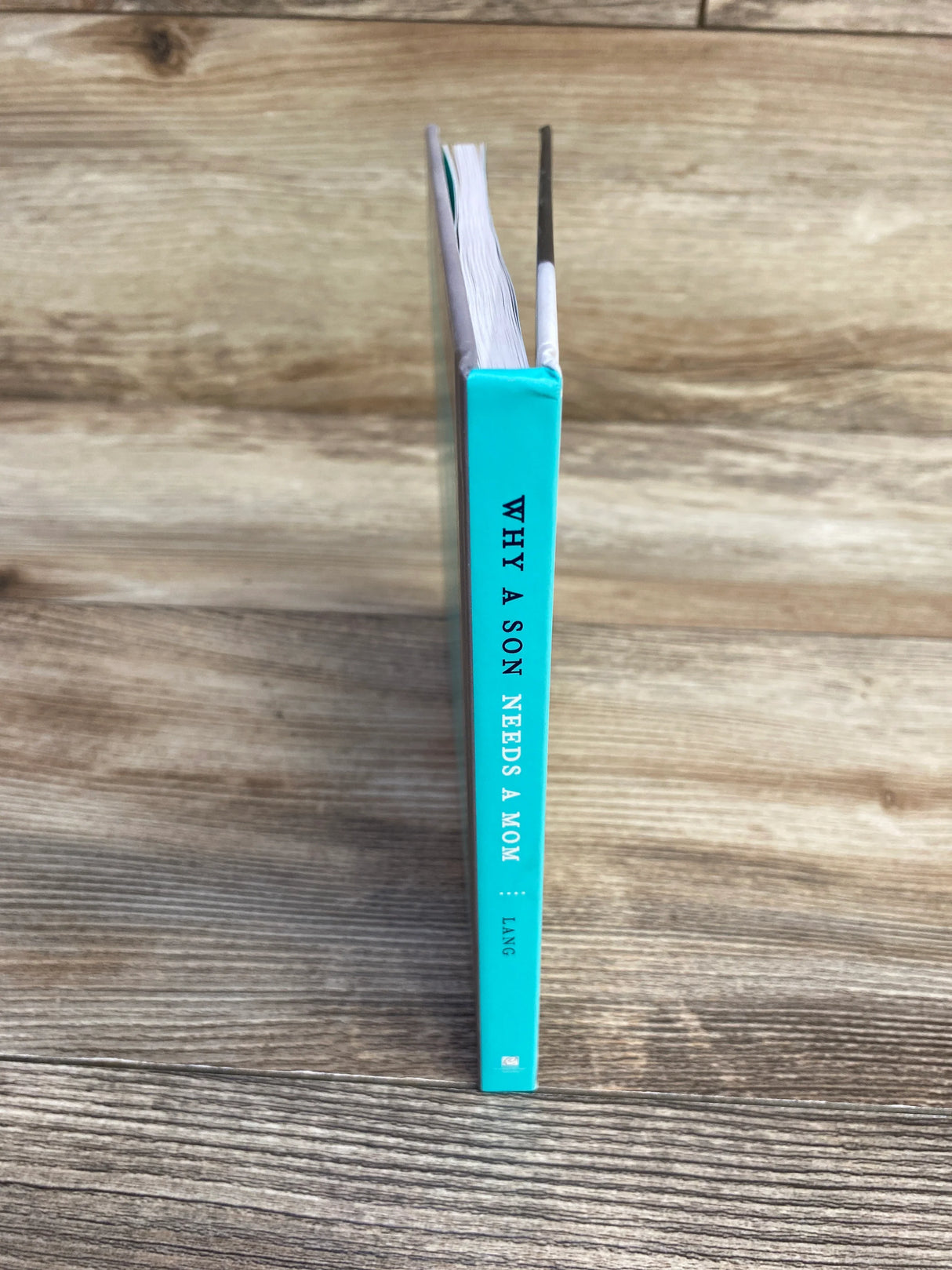 Why a Son Needs a Mom: 100 Reasons Hardcover Book - Me n Mommy To Be