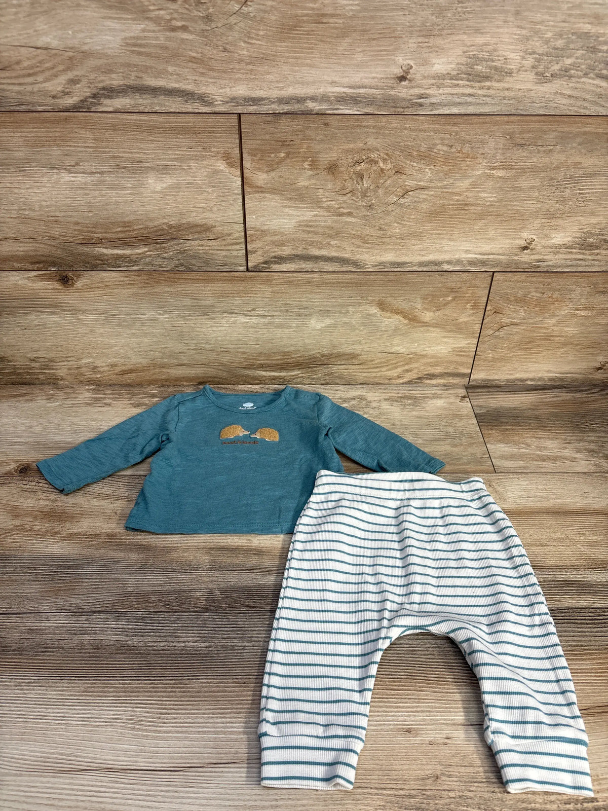 Cloud Island 2pc set featuring a blue long sleeve shirt with porcupines and striped pants.