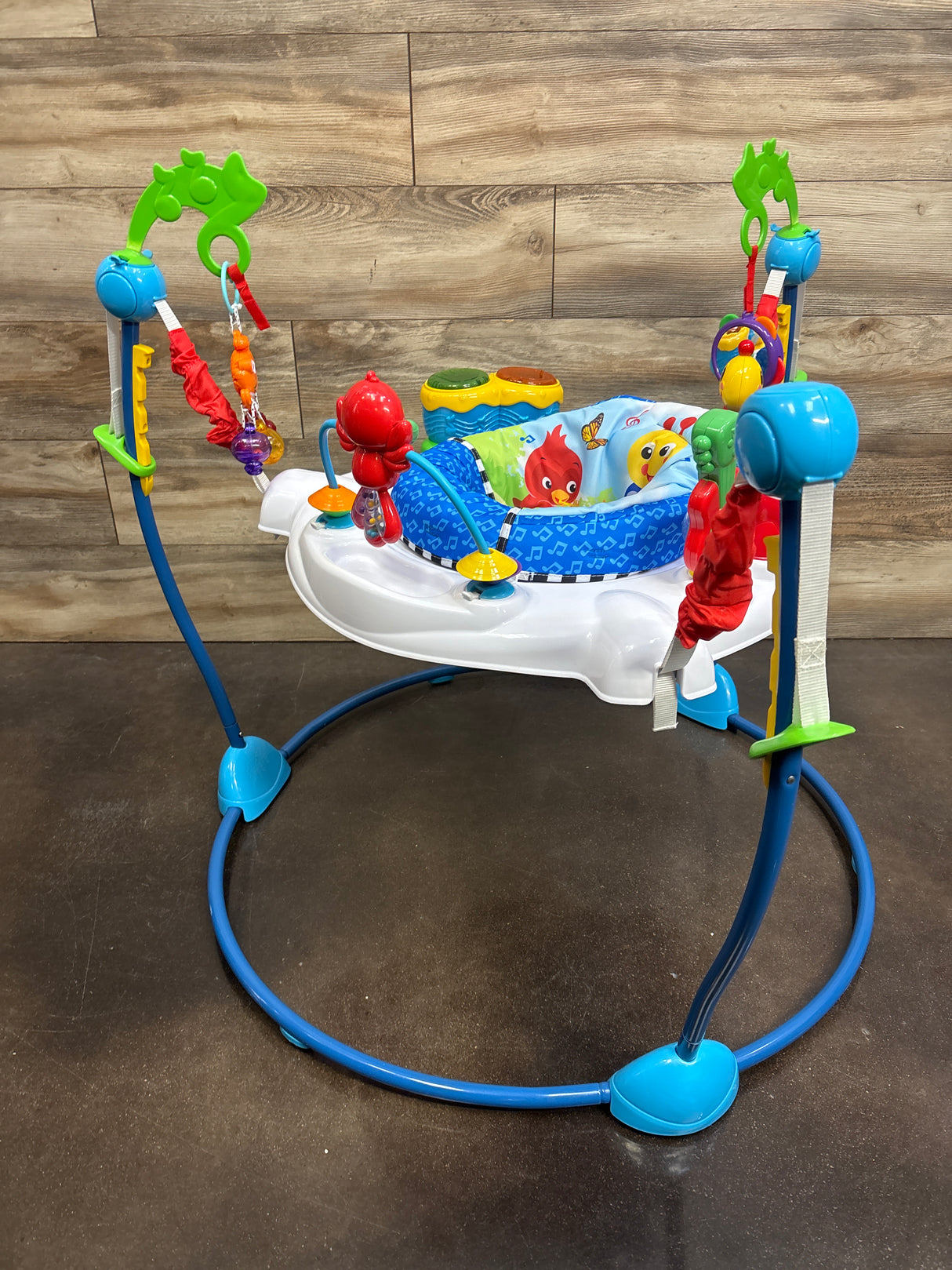 Baby Einstein Neighborhood Symphony Activity Jumper