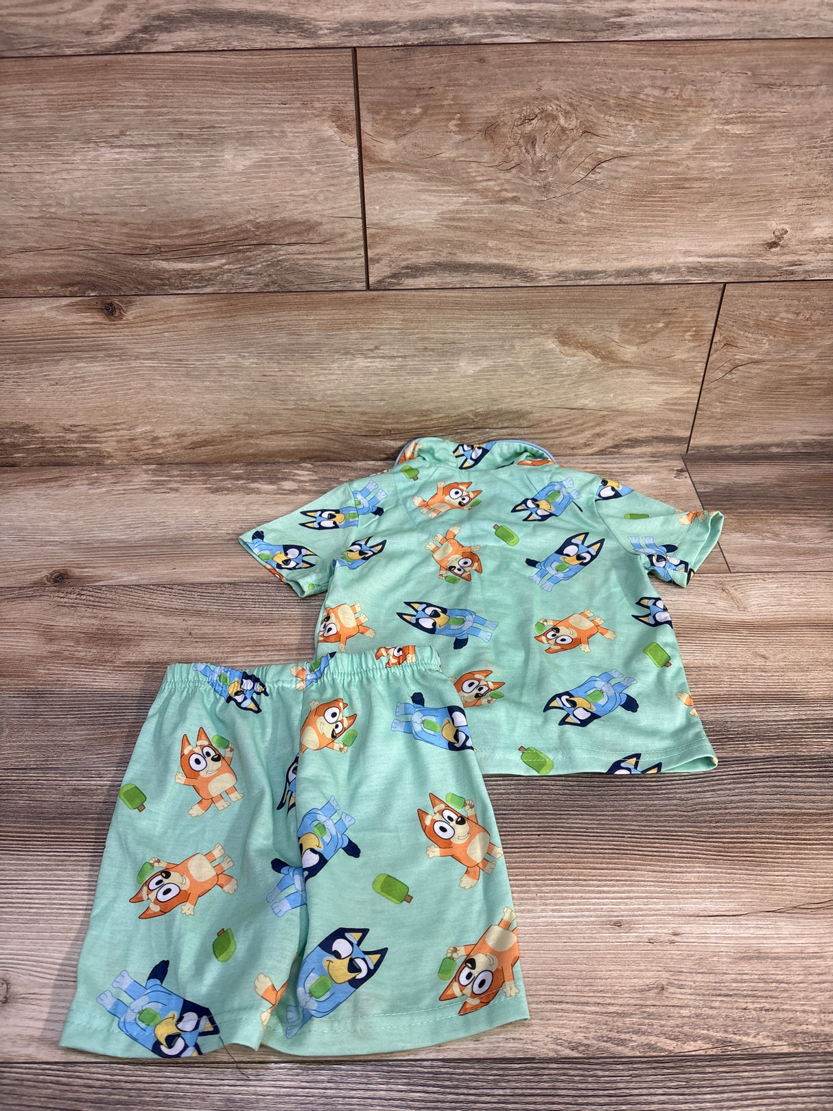 Bluey Button Front Top & Shorts Pajama Set Green sz 3T