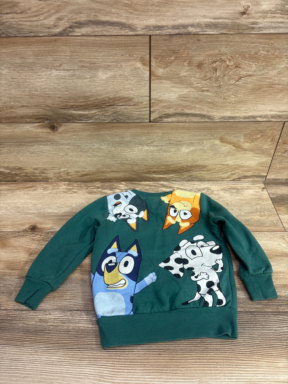 Front view of green Bluey pullover sweatshirt in size 2T showcasing character graphics with a wood background