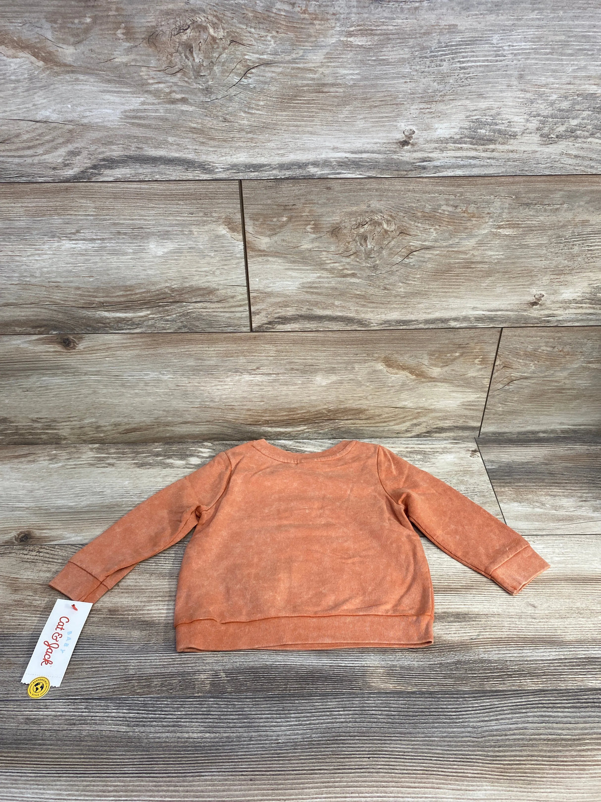 NEW Cat & Jack Sweatshirt Rust sz 6-9m