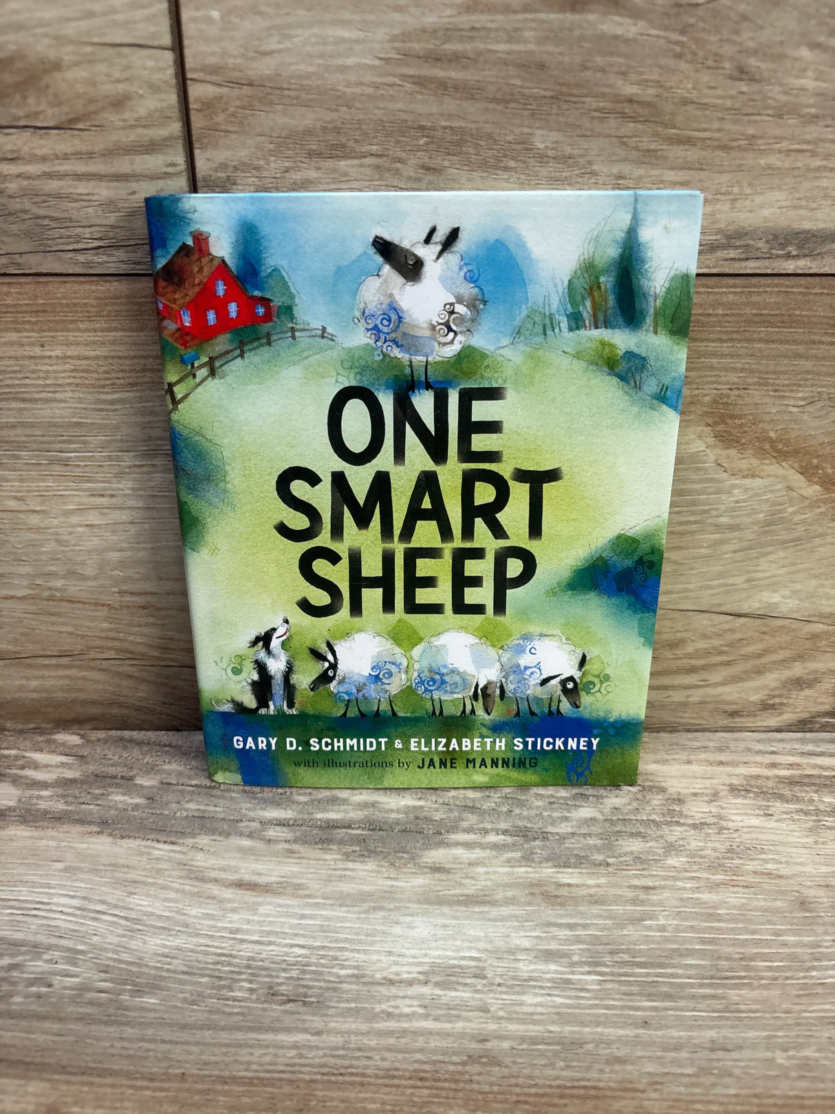 Front of One Smart Sheep hardcover book showing green cover with large title and sheep artwork on wooden background