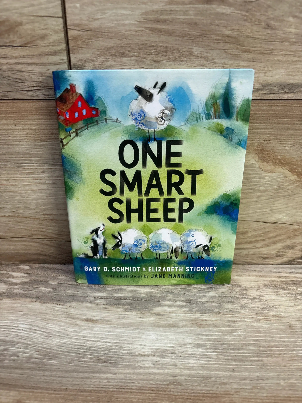 Front of One Smart Sheep hardcover book showing green cover with large title and sheep artwork on wooden background