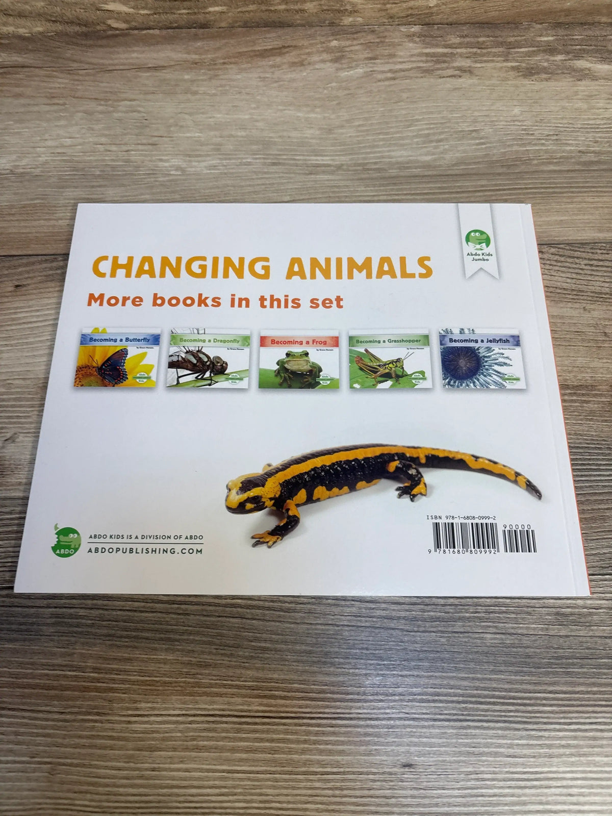 Back cover of Becoming a Salamander paperback showing headline ‘CHANGING ANIMALS’ and a yellow-and-black salamander on a wood table