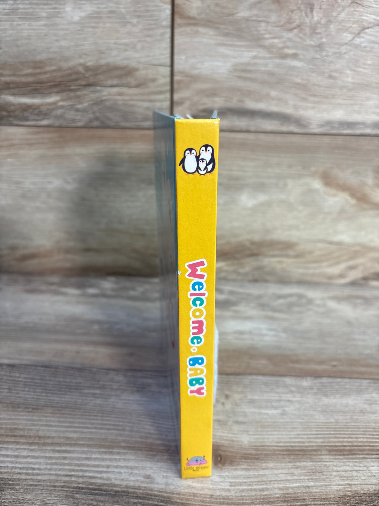 Welcome, Baby Board Book