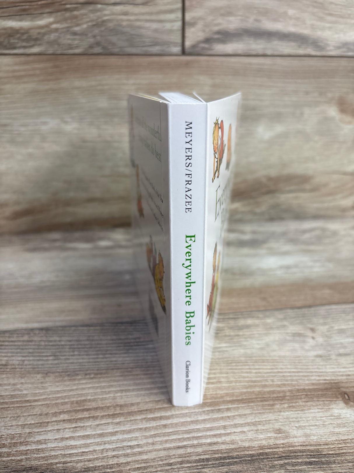 Everywhere Babies Board Book