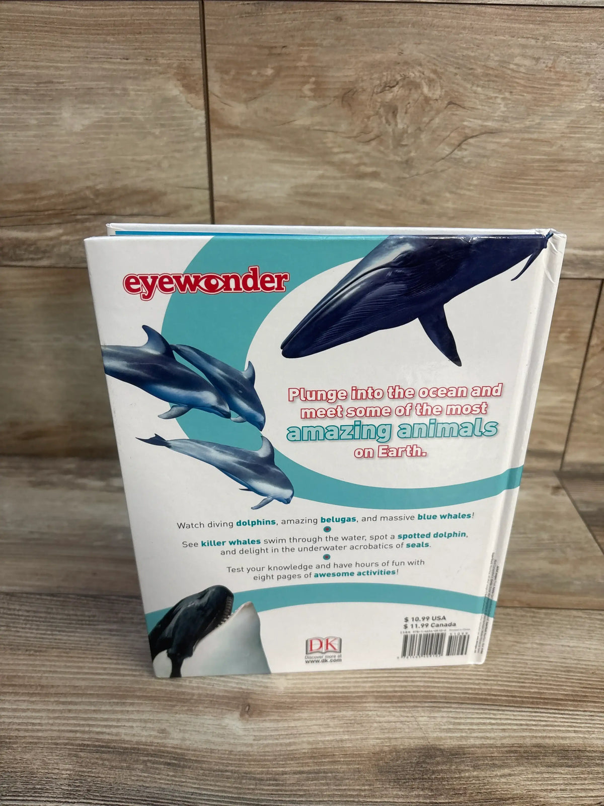 Back cover of Eye Wonder: Whales and Dolphins Hardcover Book showcasing ocean animals and children’s activities on a wood surface