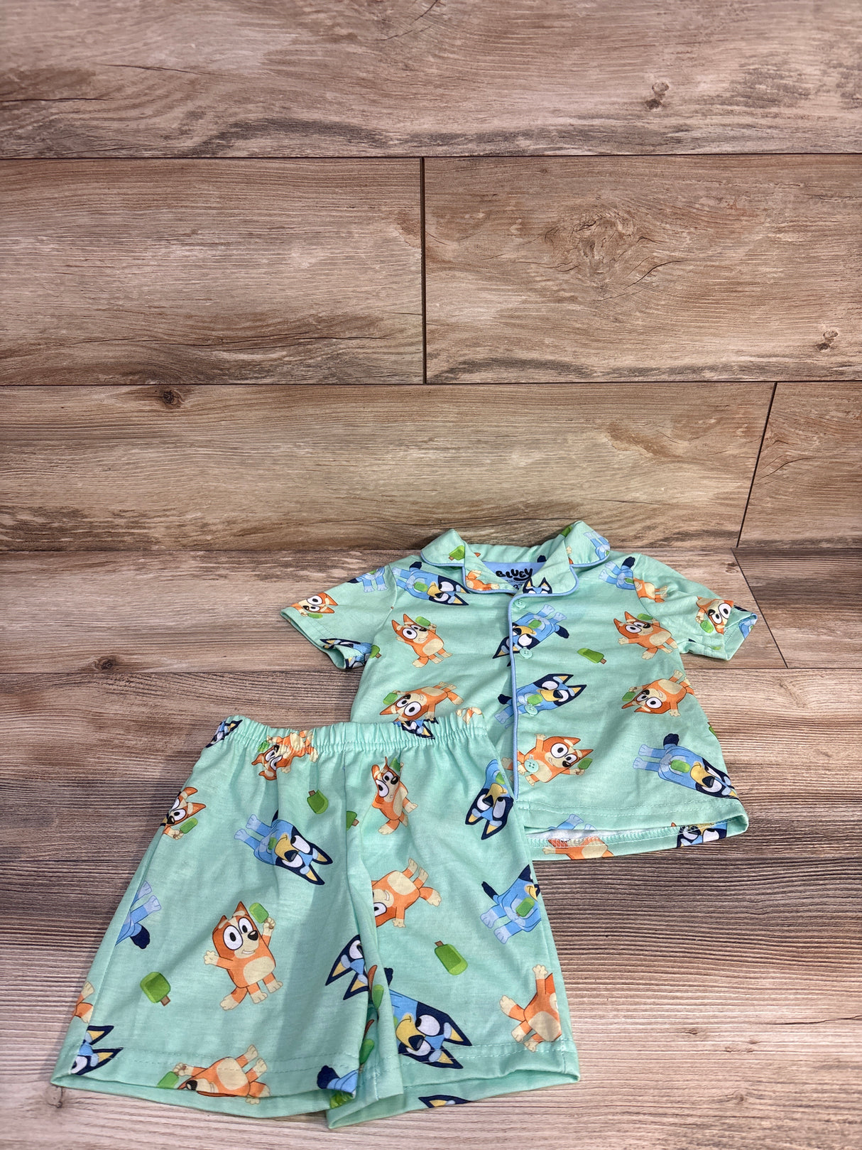 Bluey Button Front Top & Shorts Pajama Set Green sz 3T