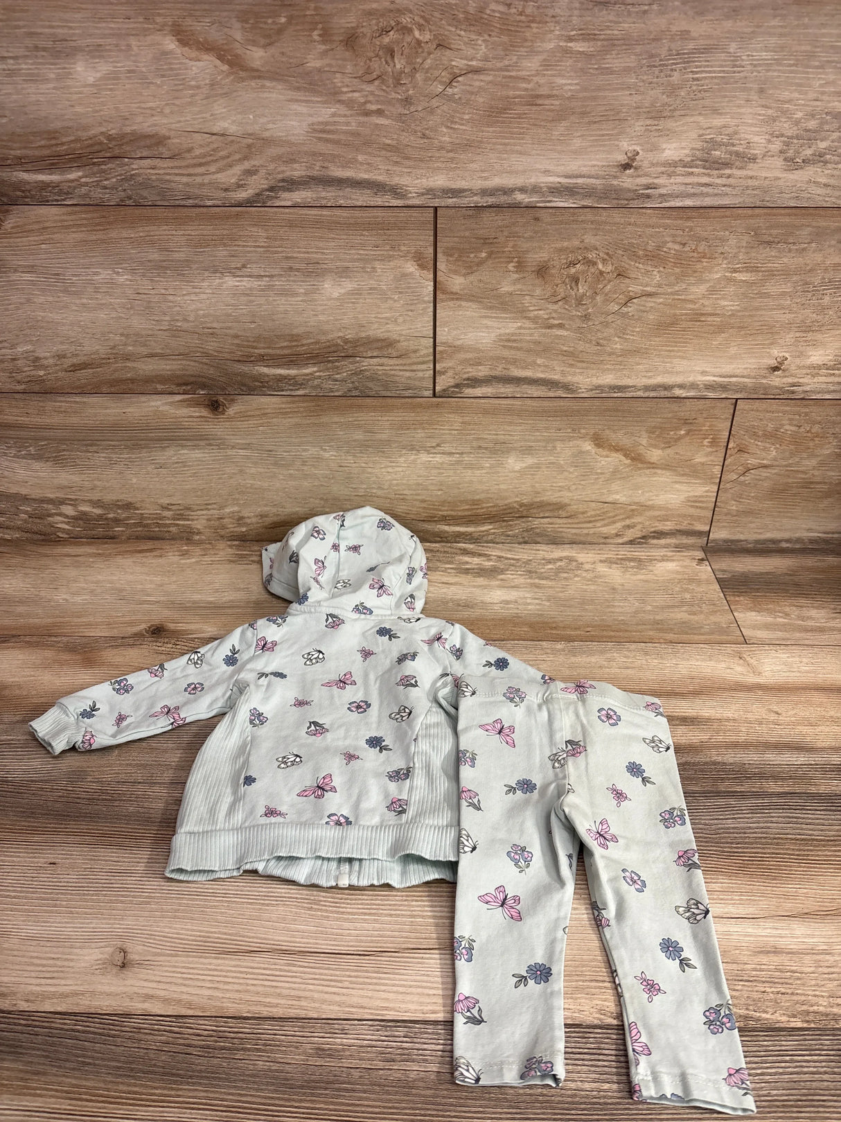 Back view of Haute Hippie 2pc butterfly print hoodie and pants set in mint green with hood and matching print on wood floor