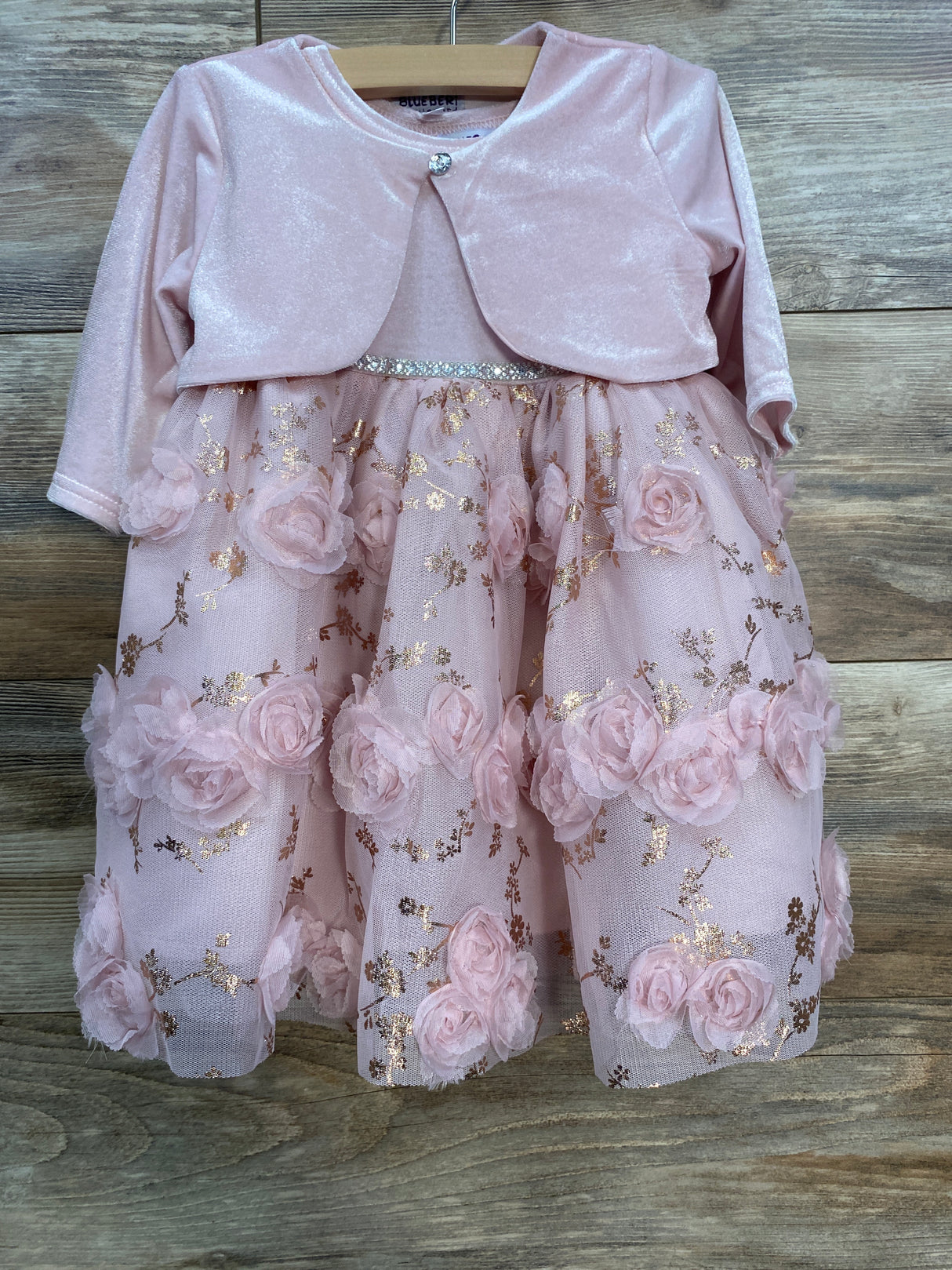 Blueberi Boulevard 2pc Velvet Lace Tulle Dress & Cardigan Set Pink sz 12m