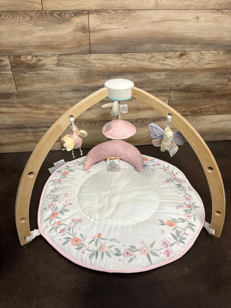 Aden & Anais Baby Activity Gym in Ma Fleur - Me n Mommy To Be