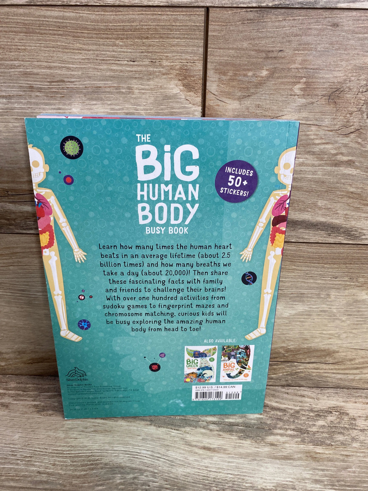 Big Human Body Busy Book Paperback Book