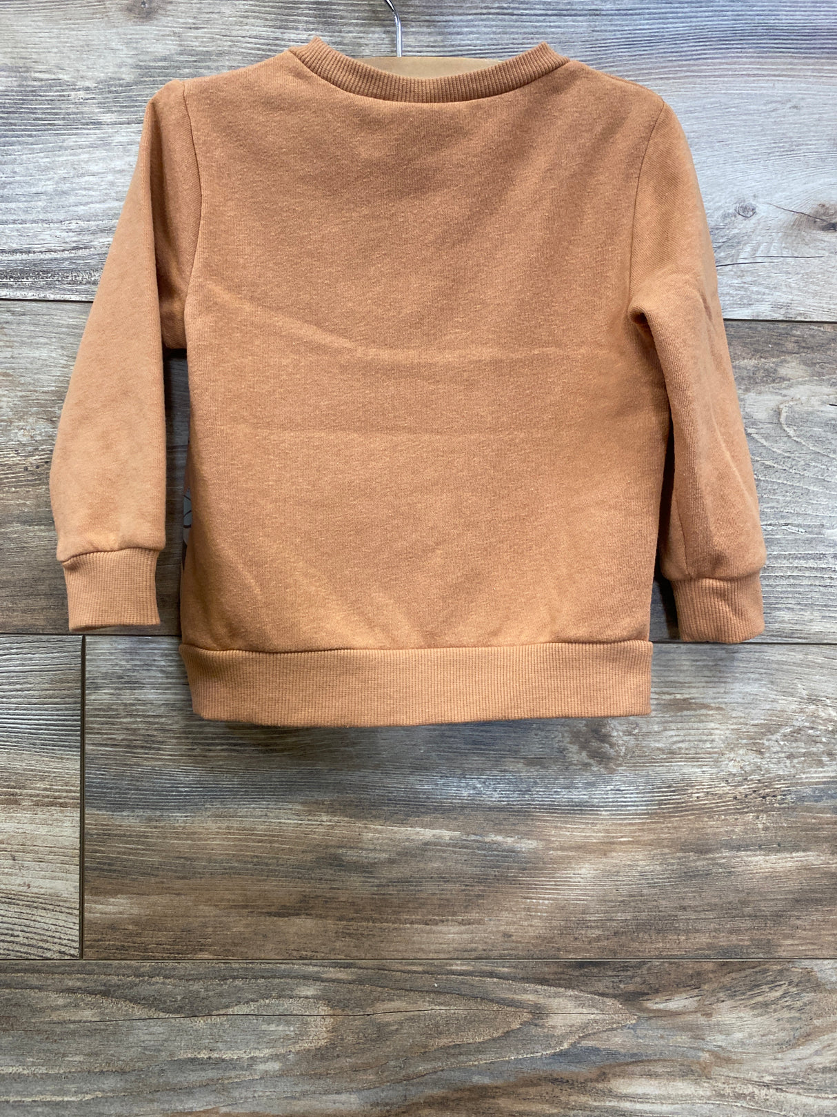 Star Wars Yoda Sweatshirt Caramel sz 18m