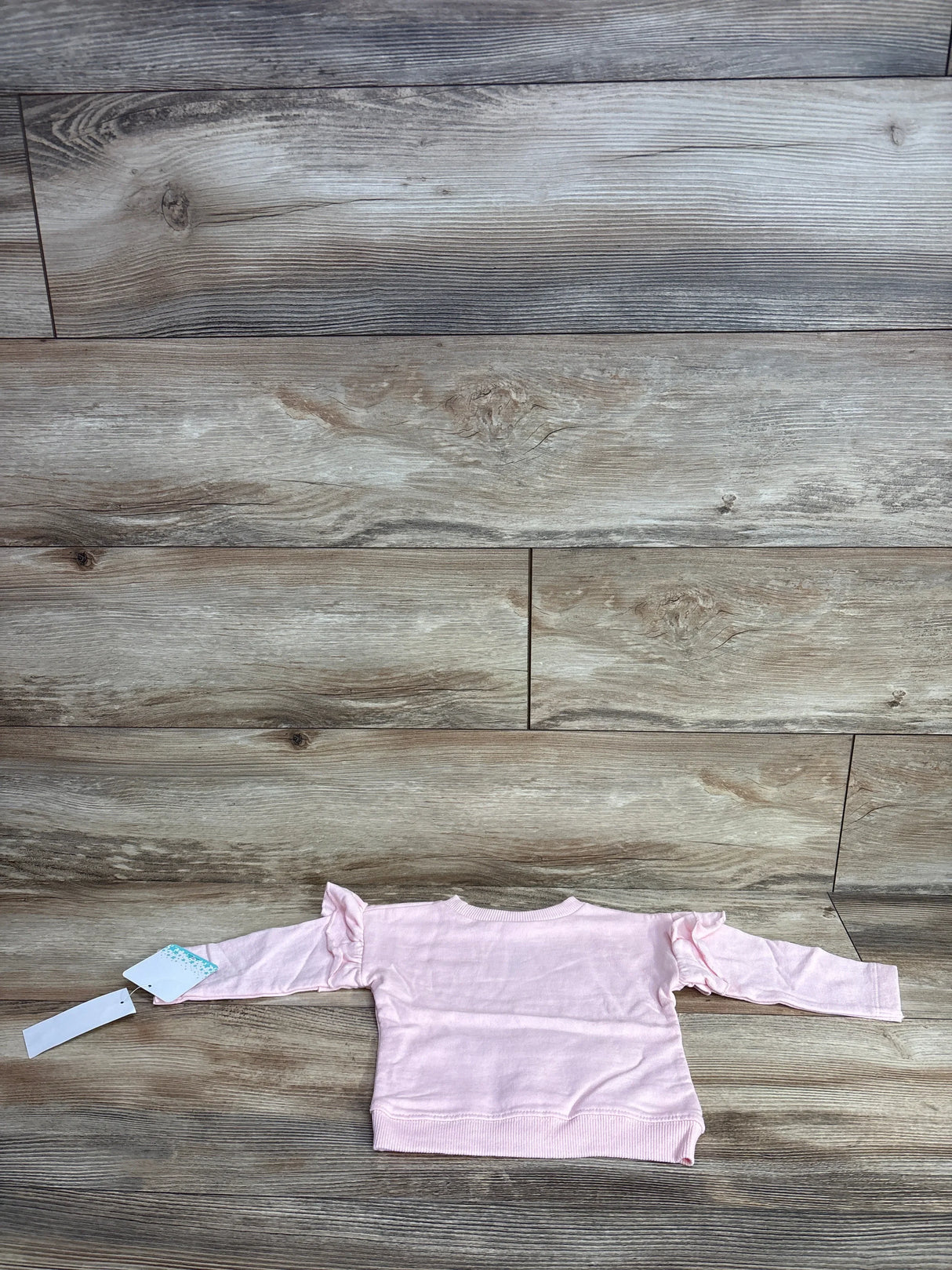 Back view flat lay of new Disney Baby Princess Belle and Tiana pink sweatshirt with ruffled shoulders and hangtag on wood plank floor
