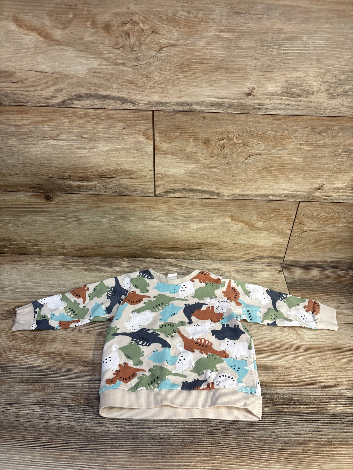 H&M Pullover Dinosaur Sweatshirt Beige sz 18m