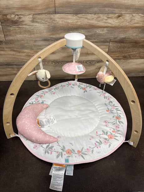 Aden & Anais Baby Activity Gym in Ma Fleur - Me n Mommy To Be