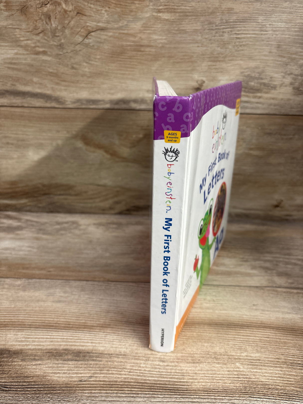 Baby Einstein My First Book of Letters Board Book
