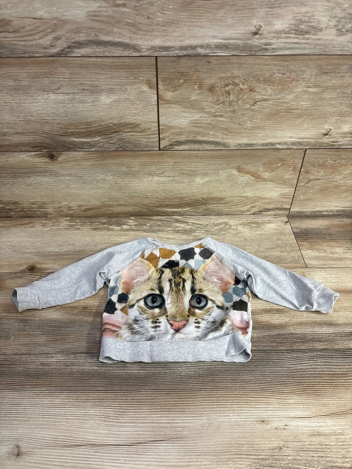 Gray long sleeve kids shirt with realistic cat face print on wood background