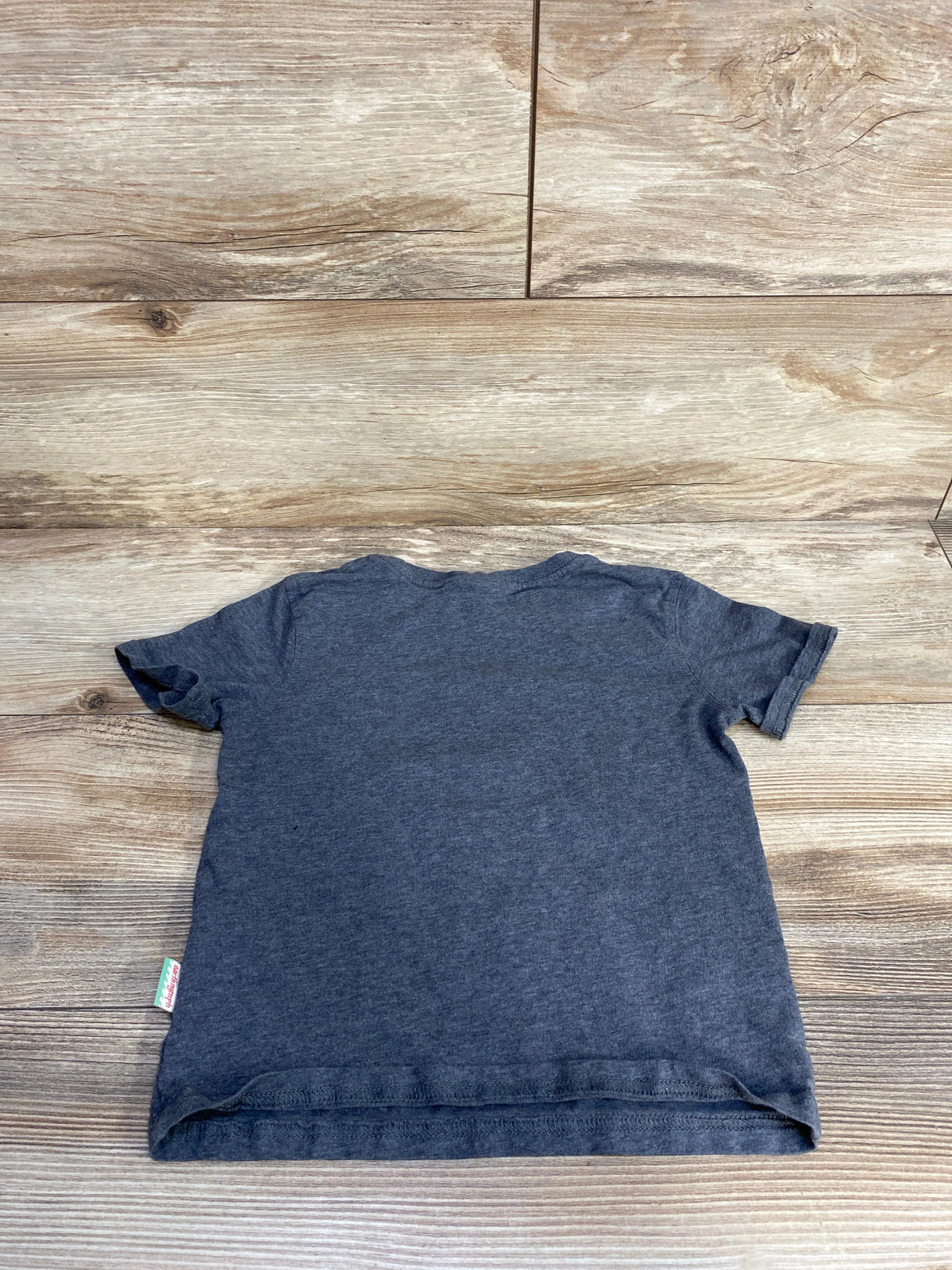 Earth Nymph Here Comes Trouble Shark Shirt Grey sz 4T