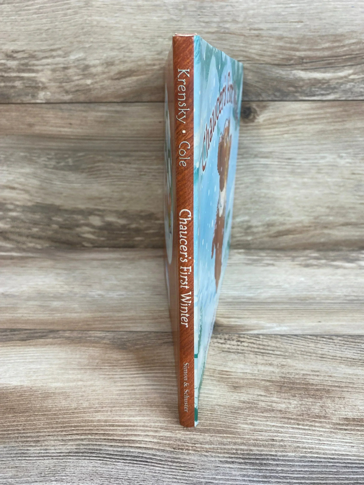 Chaucer's First Winter Hardcover Book By Stephen Krensky - Me n Mommy To Be