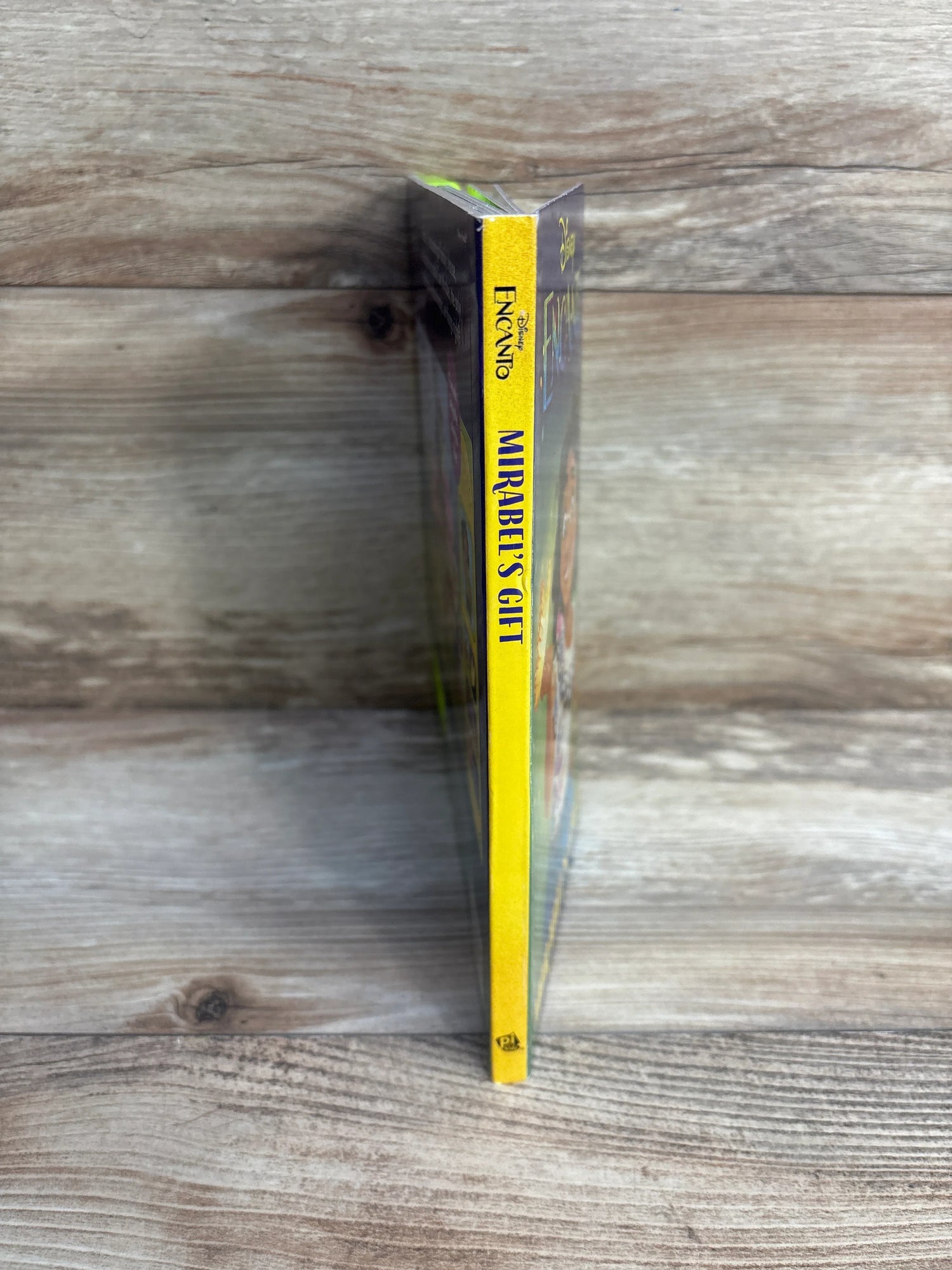 Disney Encanto Mirabel's Gift Sound Book