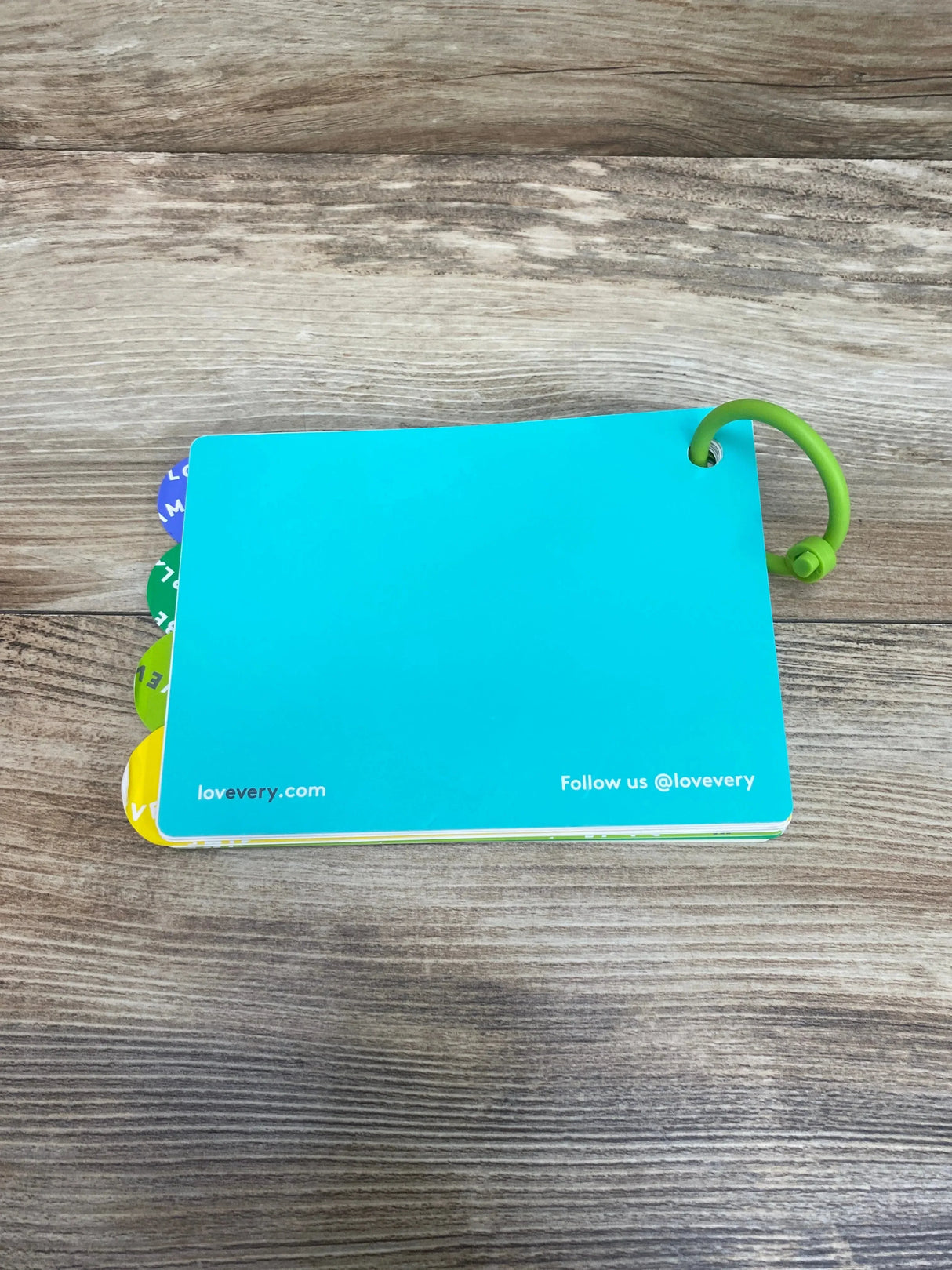 Top-down view of The Observer Play Guide in teal showing green plastic ring and colorful tabbed pages on wood background