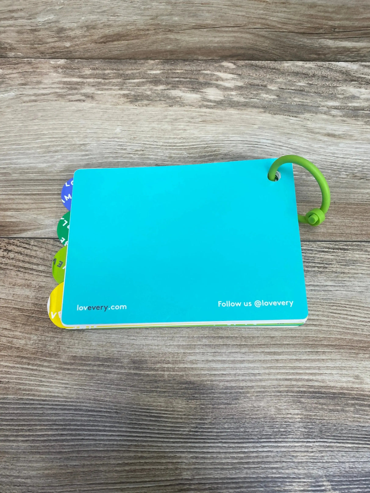Top-down view of The Observer Play Guide in teal showing green plastic ring and colorful tabbed pages on wood background