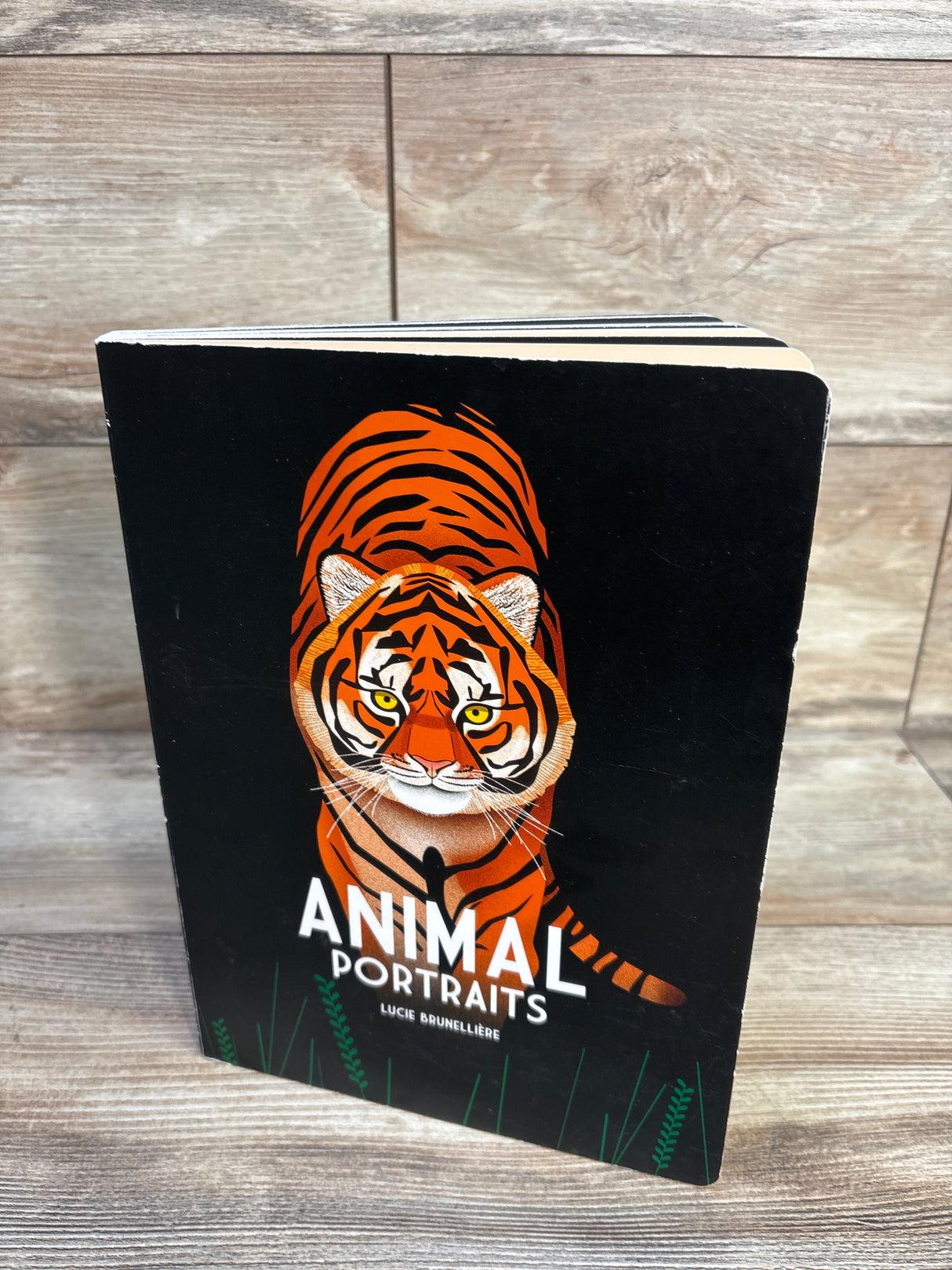 Animal Portraits Board Book