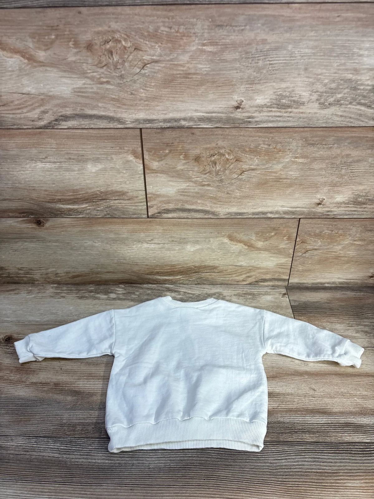 Back view of Disney Baby Toy Story sweatshirt in ivory showcasing ribbed cuffs and hem with a wood plank background