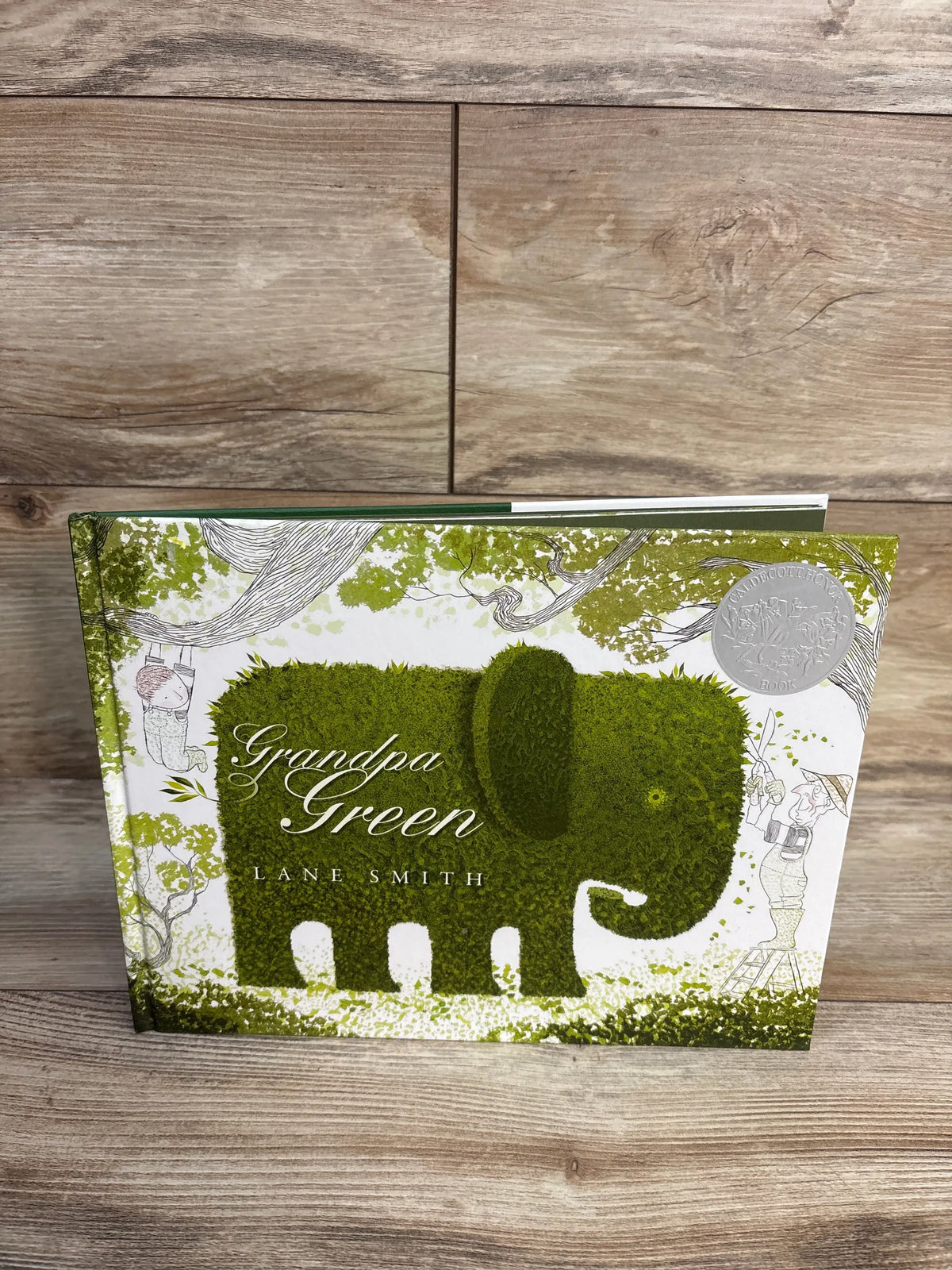 Front view of Grandpa Green Hardcover Book showcasing elephant topiary cover art on a wood plank background