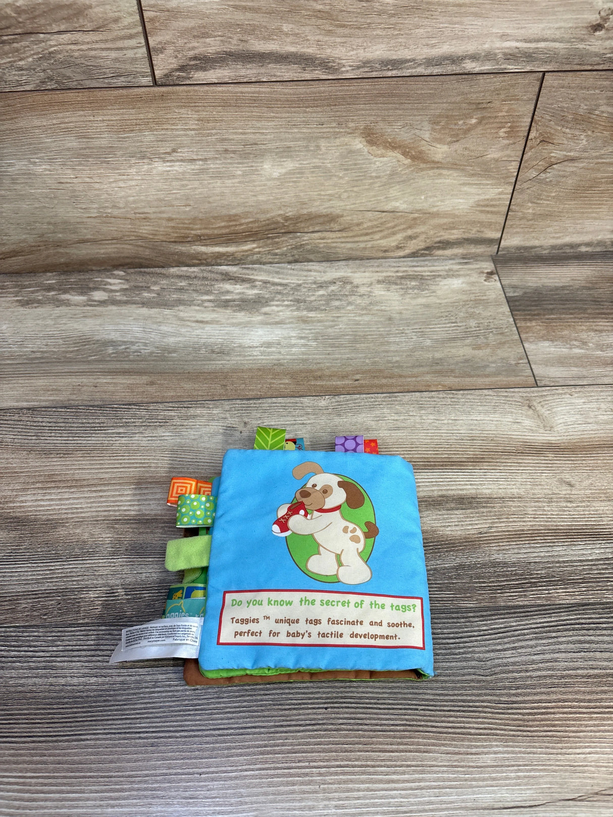 Taggies Buddy Dog's Busy Day Soft Book