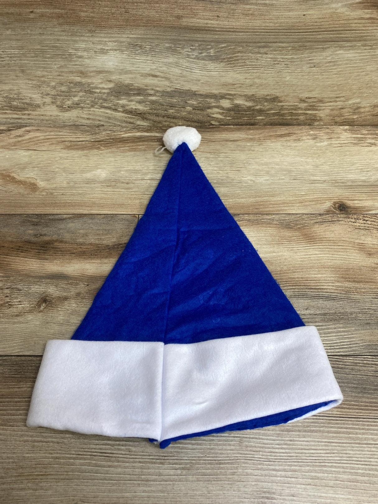 Nickelodeon Blue's Clues Felt Santa Hat Blue OSFM