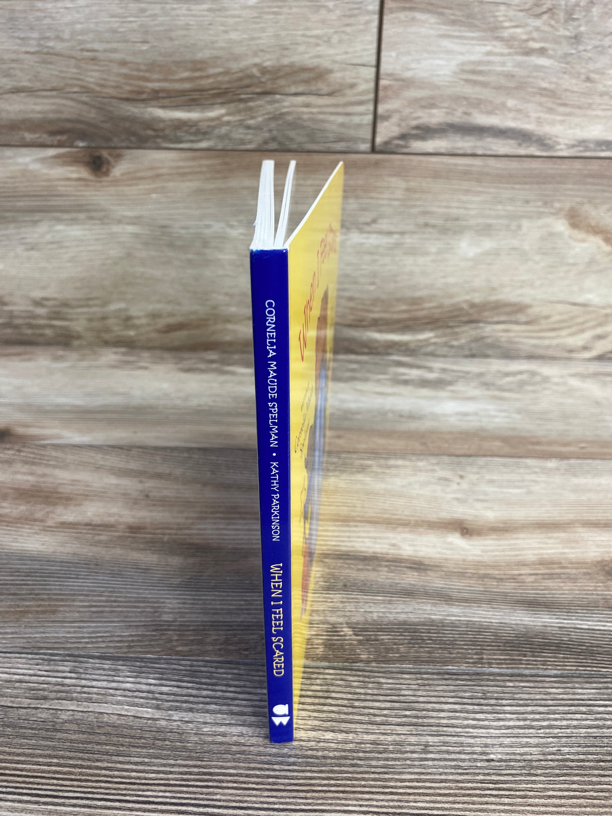 When I Feel Scared Board Book