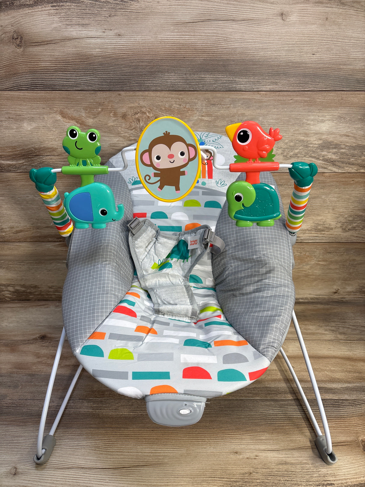 Bright Starts Playful Paradise Vibrating Baby Bouncer