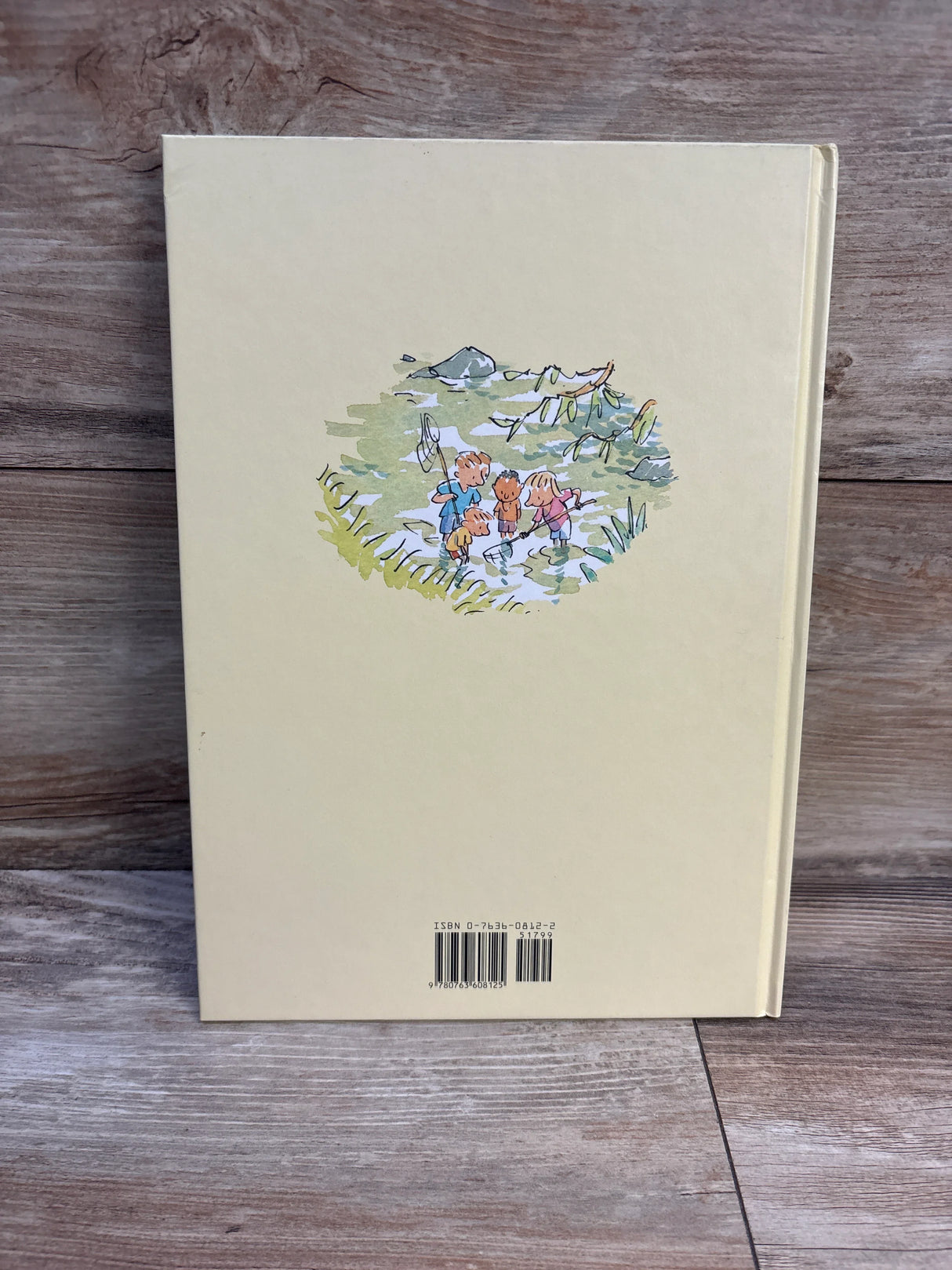 Days Like This Hardcover Book