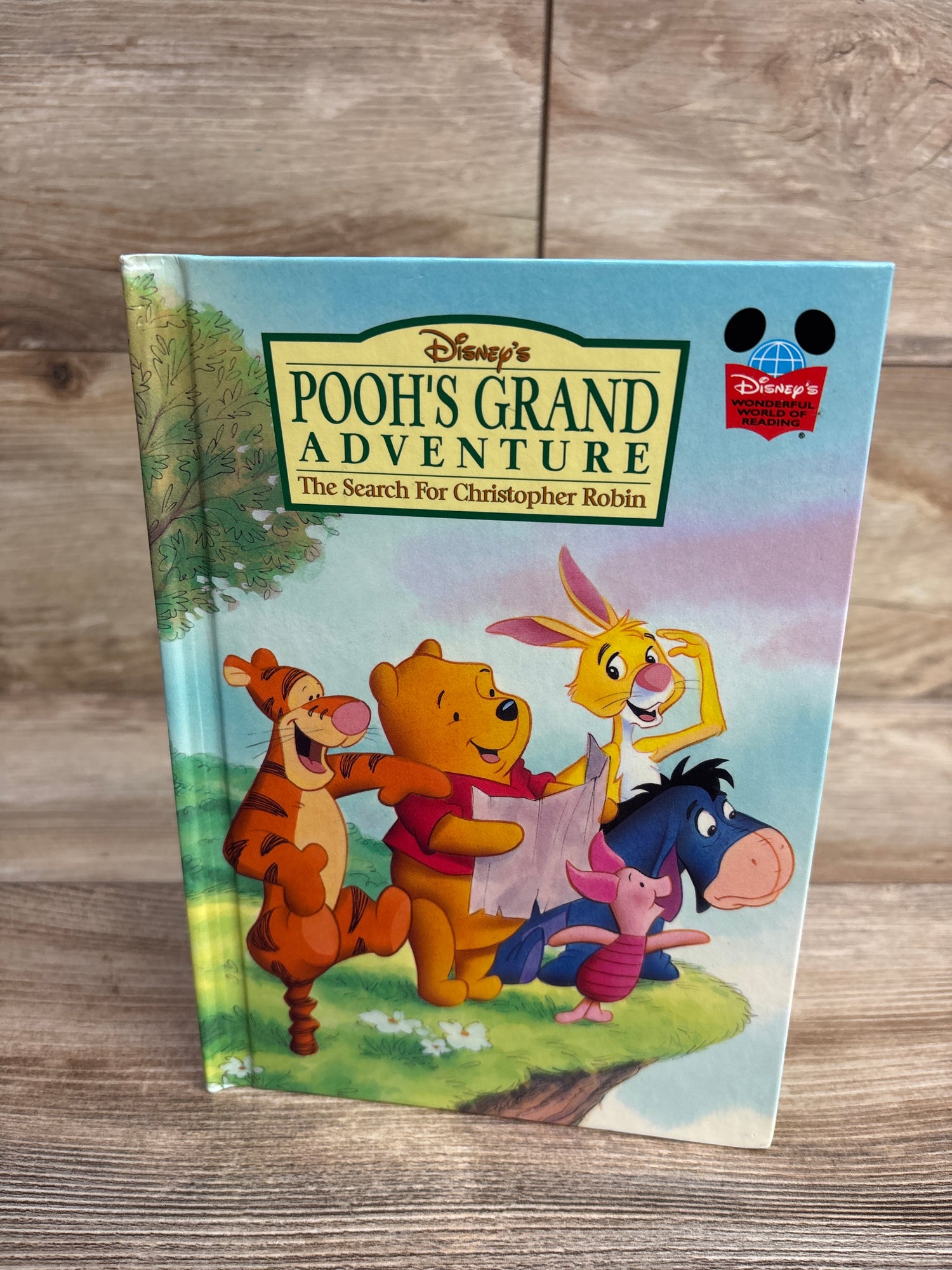 Pooh's Grand Adventure: The Search for Christopher Robin Hardcover Book