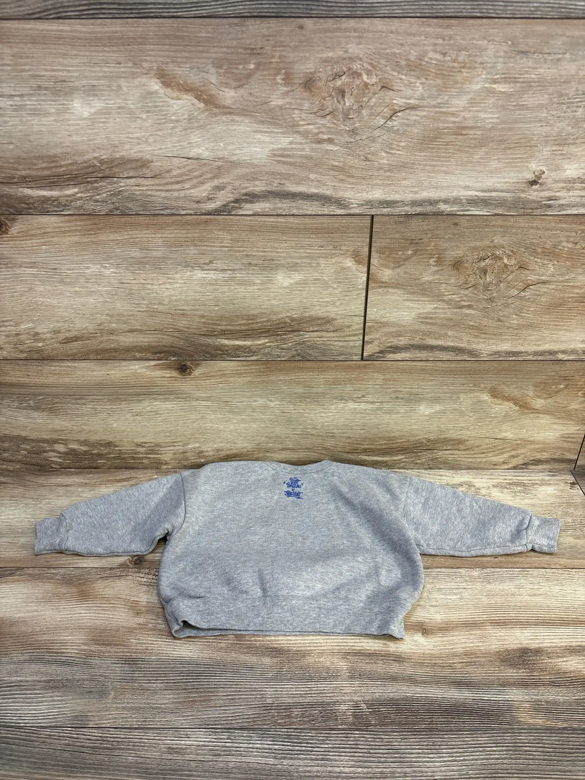 Gray kids crewneck sweatshirt with blue graphic on back, displayed on wood background