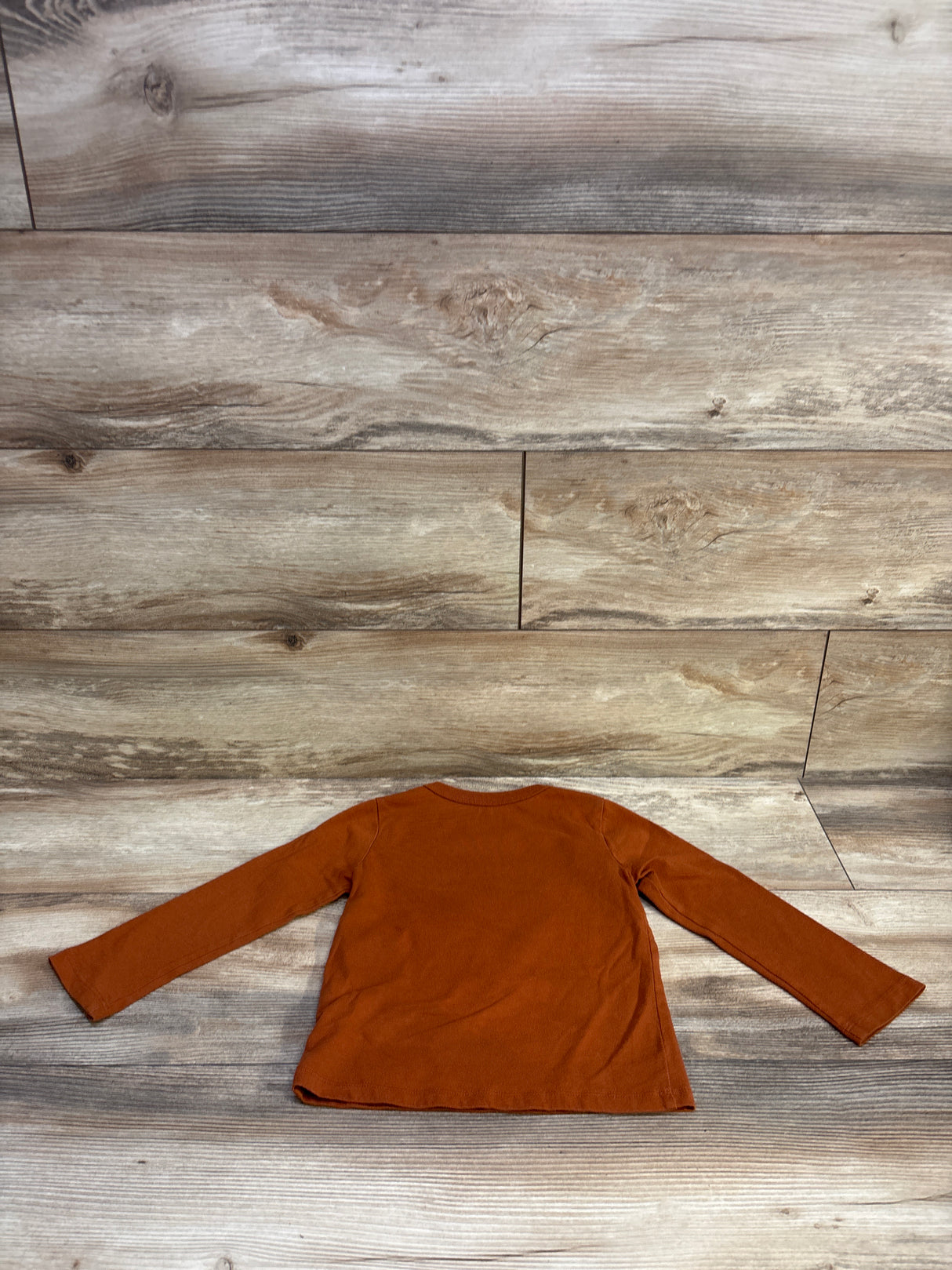 Children's Place Cutest Pumpkin In The Patch Shirt Brown sz 5T
