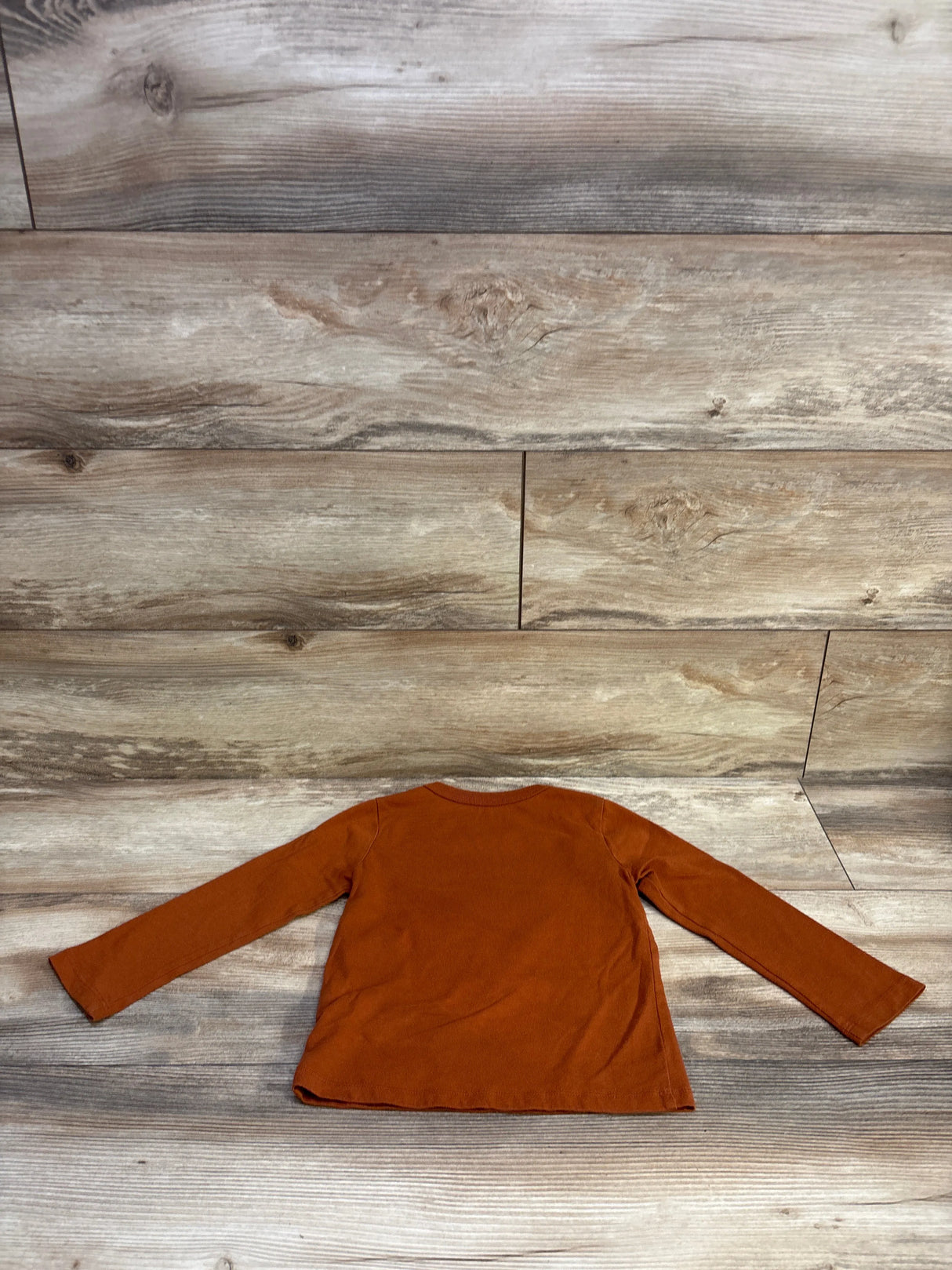 Back view of Children’s Place brown long-sleeve toddler shirt showcasing plain back and spread sleeves on wood floor background