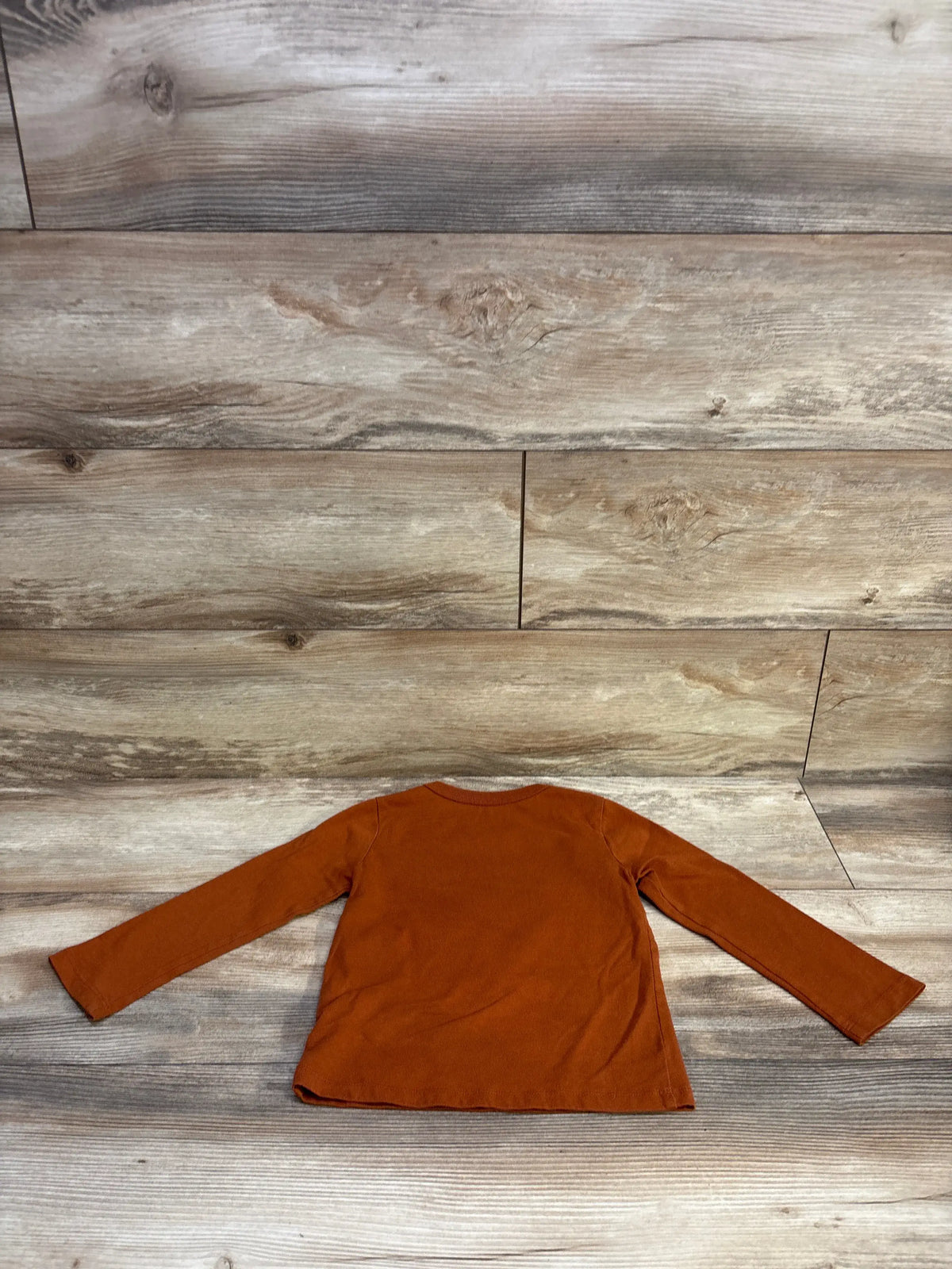 Back view of Children’s Place brown long-sleeve toddler shirt showcasing plain back and spread sleeves on wood floor background
