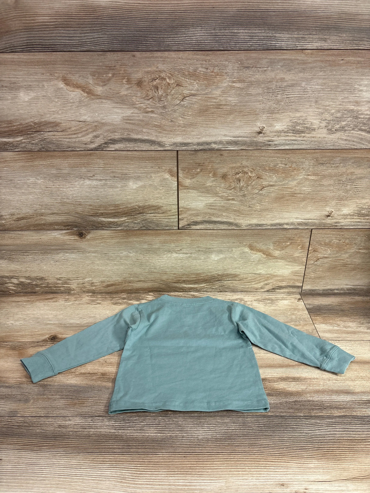Back view of Carhartt long-sleeve toddler shirt (size 12 months) showing plain green back laid flat on wood background