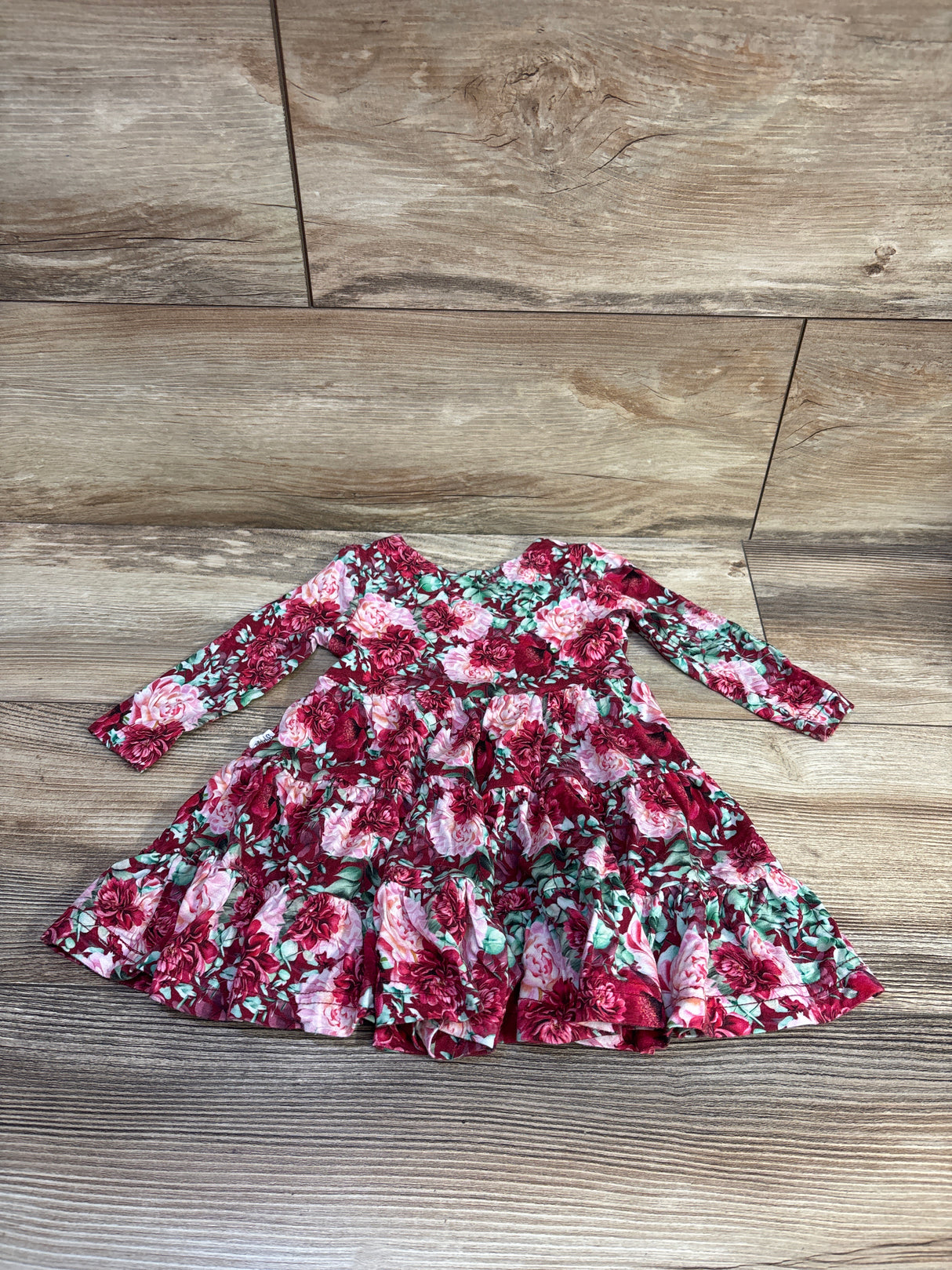 Gigi & Max Bamboo Floral Swing Dress Red sz 6m