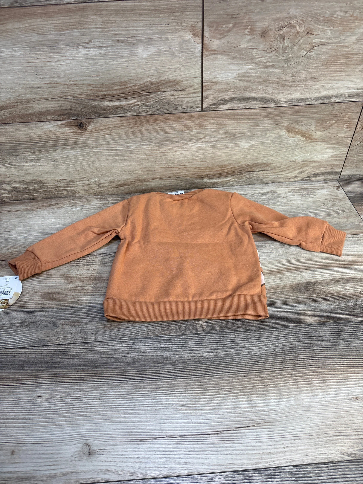 Light brown toddler sweatshirt with long sleeves on wooden background