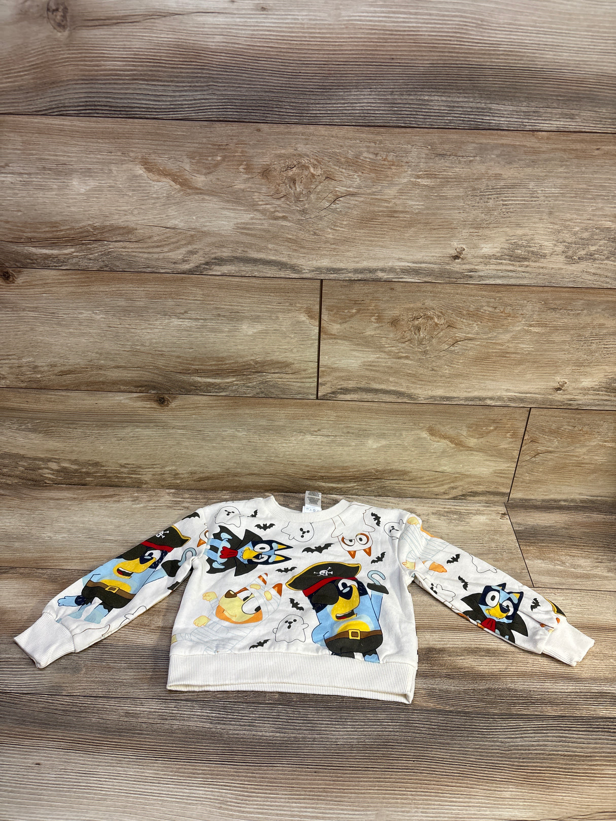 Bluey Halloween Pullover Sweatshirt White sz 2T