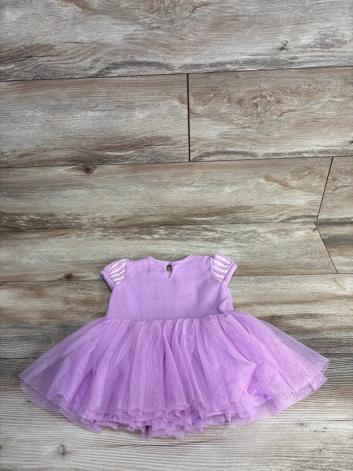 Baby Gap × Disney Baby Rapunzel Purple Orchid Tulle Dress sz 6-12m