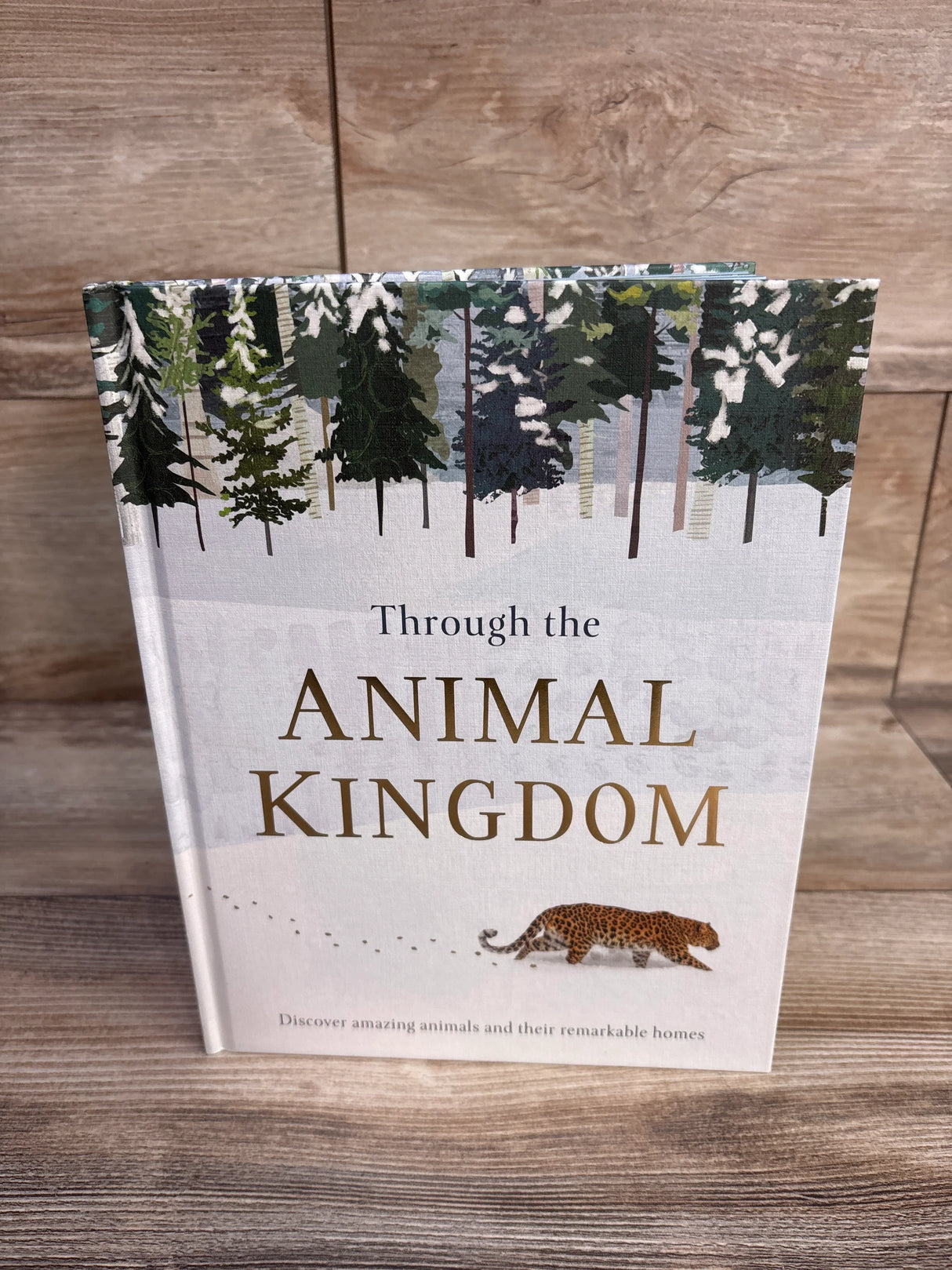 Through The Animal Kingdom Hardcover Book